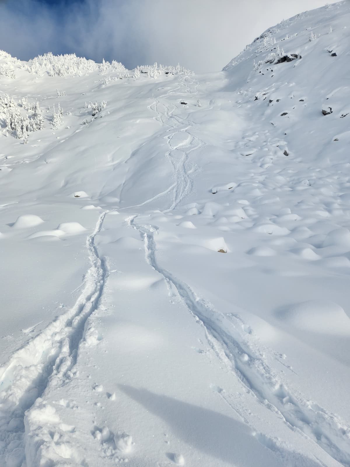 Powder 8s. Gully could use some filling in!