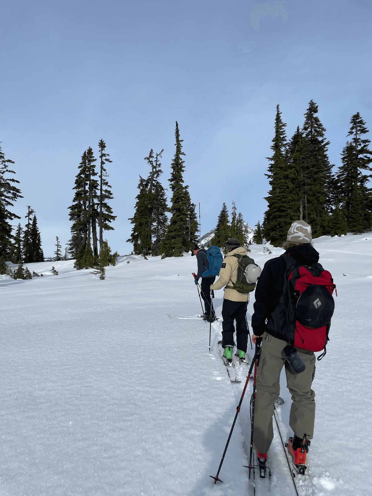 In the meadow around 1450m elevation, most relevant to snow report