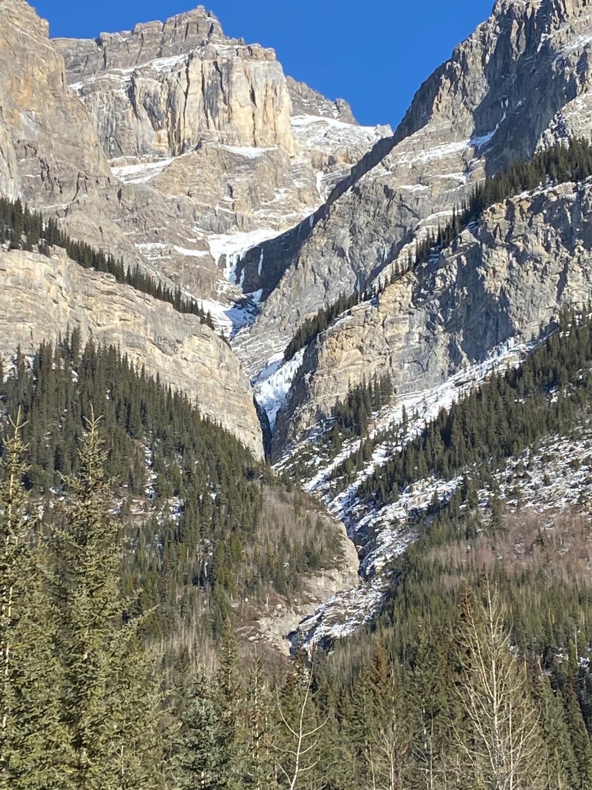 Wilson Major Ice