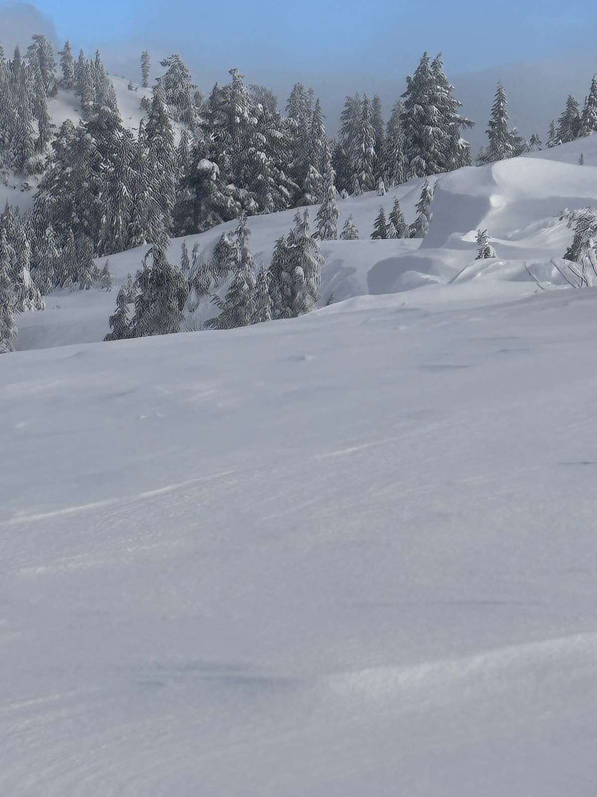Cornices forming on the North Facing slope behind sky chair. Wind scoured snow in the foreground.