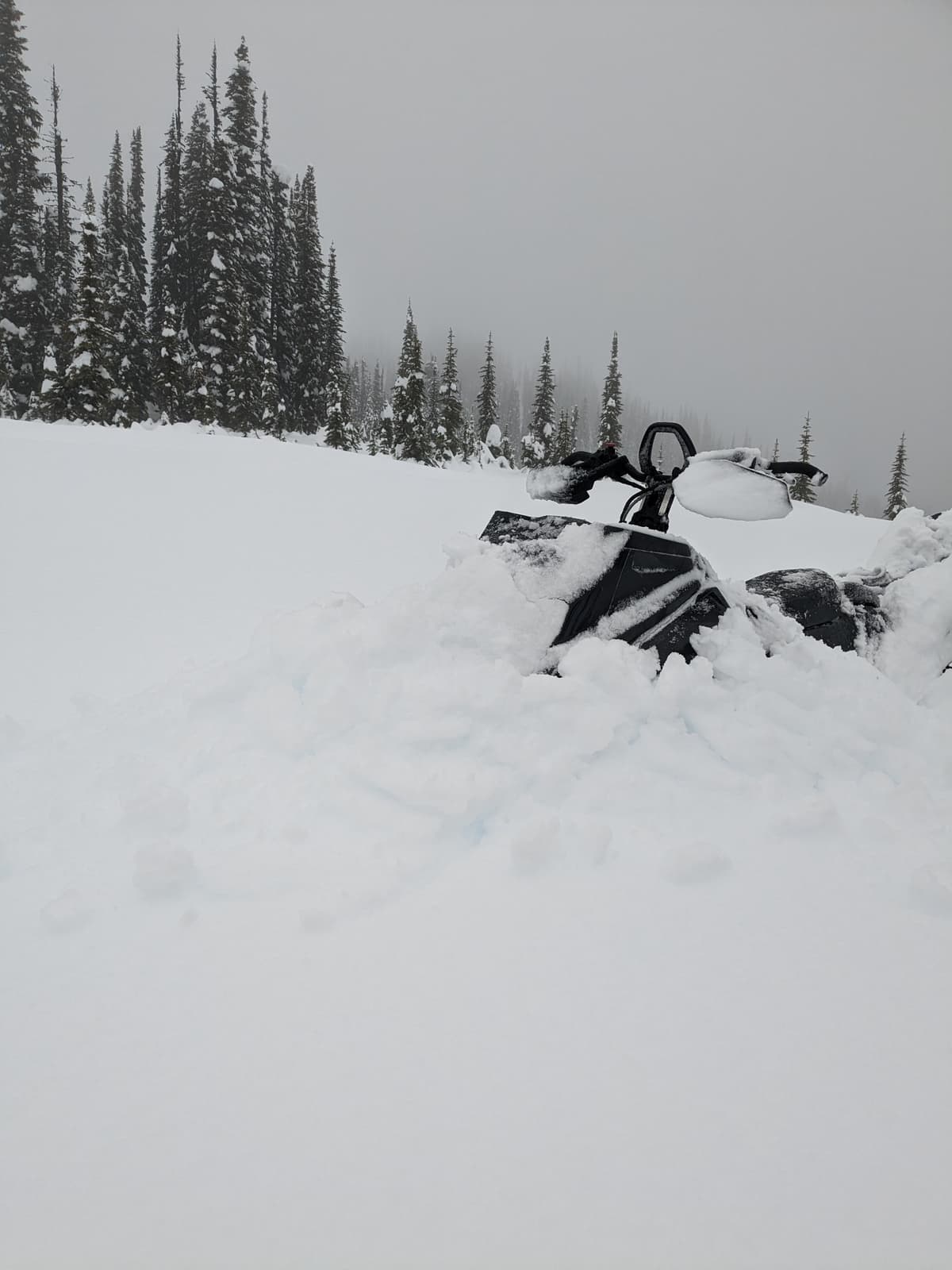 Deep and heavy snow, great riding before the warming 