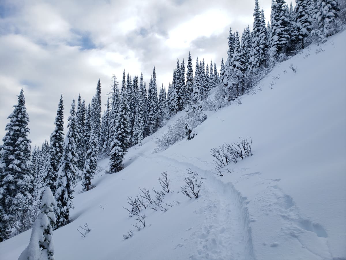 Beautiful trail breaking conditions!
