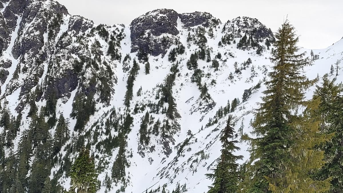 The gullies are beginning to fill in