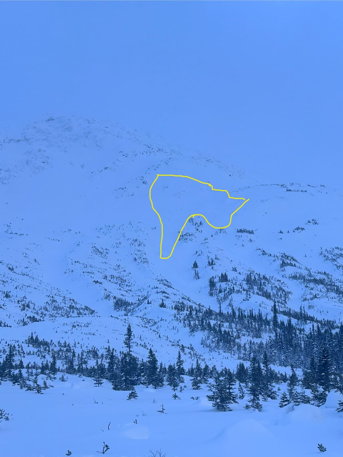 Outline of the Crown and Deposit of the size 2 windslab avalanche we observed at 1300 m on a north aspect 