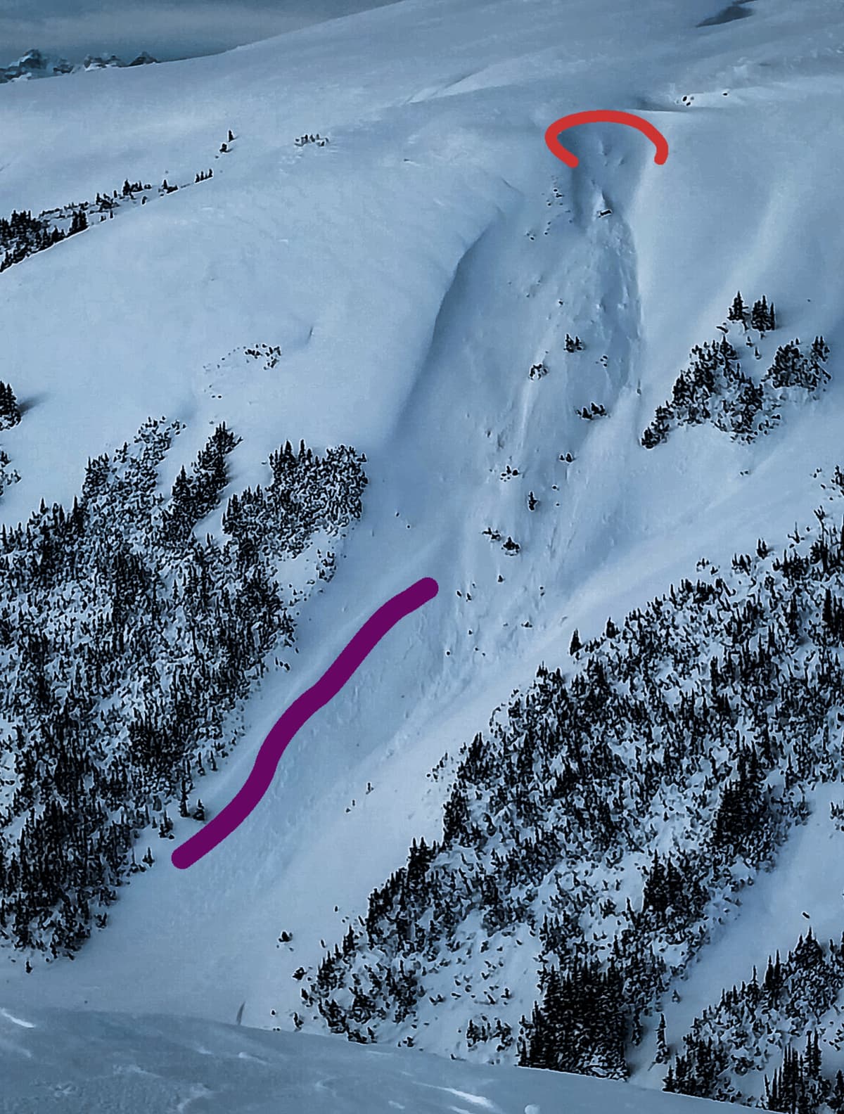  Purple line is suspected fracture line on surface hoar layer. Orange is wind slab.