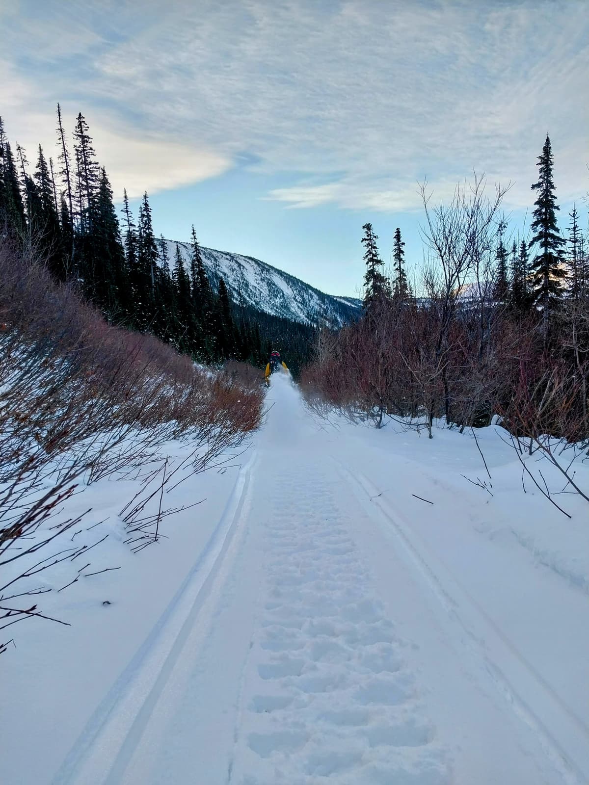 Just past the cabin