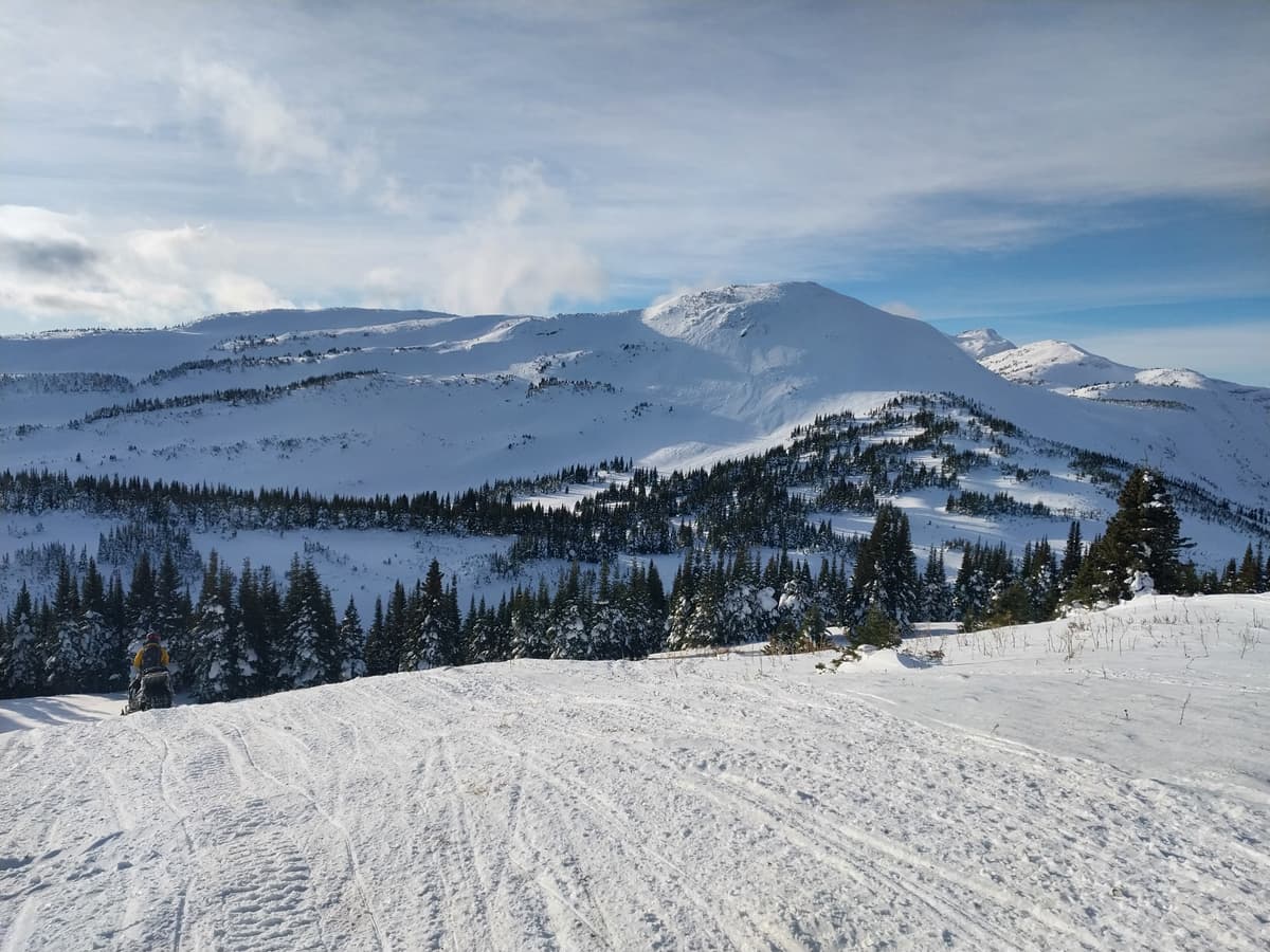 Alpine is heavily wind effected