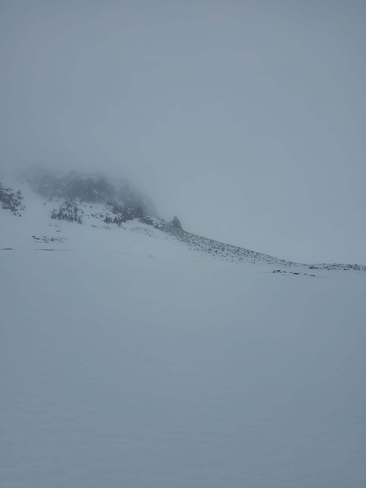 lots of rocks still exposed at 2000m, South aspect 