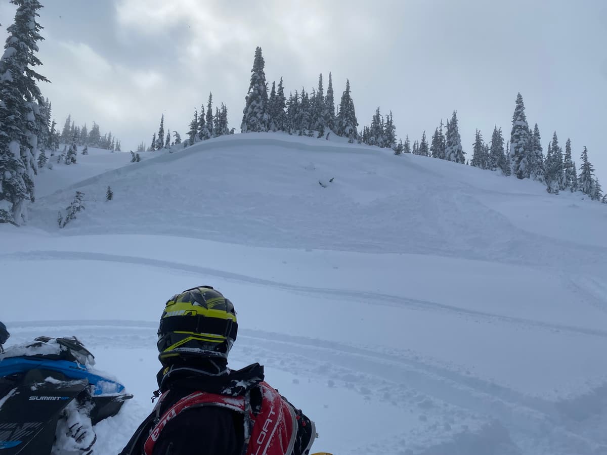 Electric avalanche conditions in North East Kalum yesterday. We triggered the 50cm thick storm slab in the pic remotely from below. We found similar reactive slabs easily triggered on a variety of aspects around treeline and avoided any bigger slopes steep enough to slide. Great riding and good travel for deep snow.