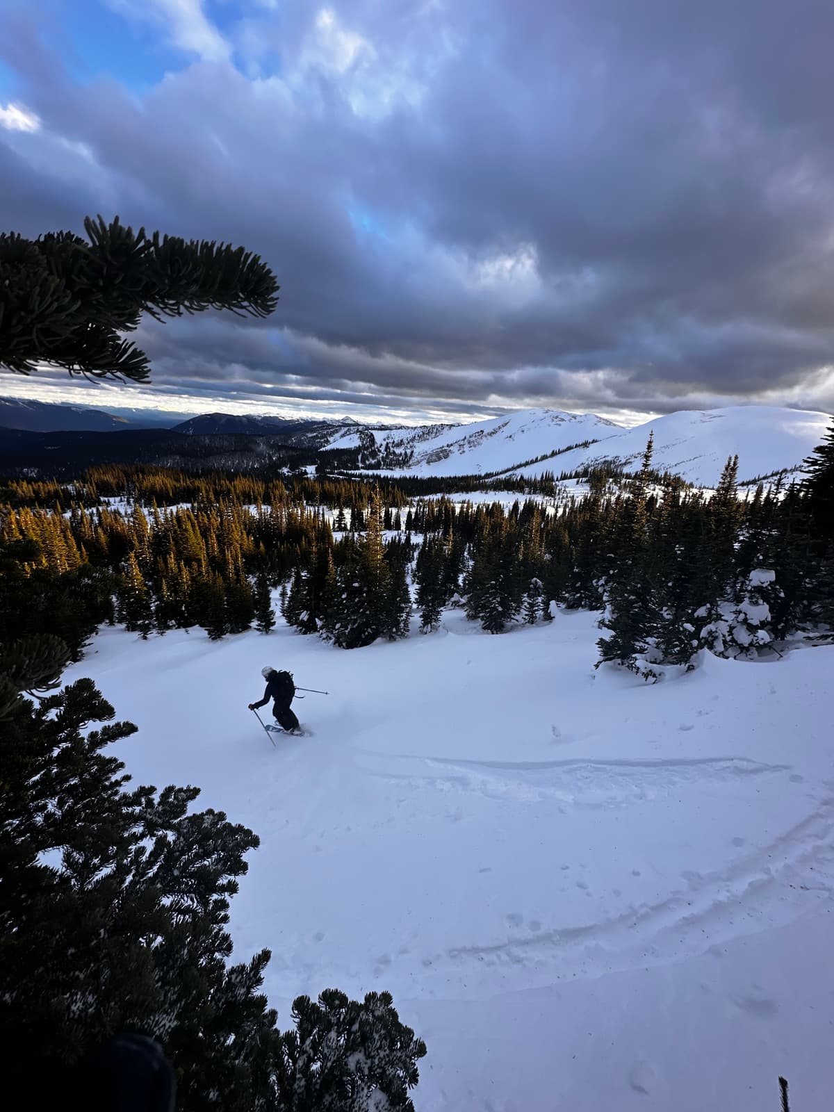 Skiing was OK in sheltered treeline areas.