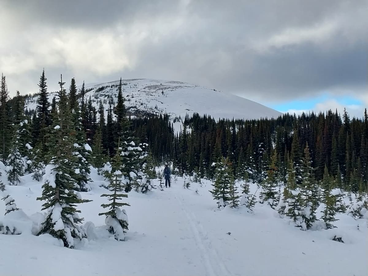 You can see how the ridgelines are bare and the lee slopes have been loaded up in this photo. 