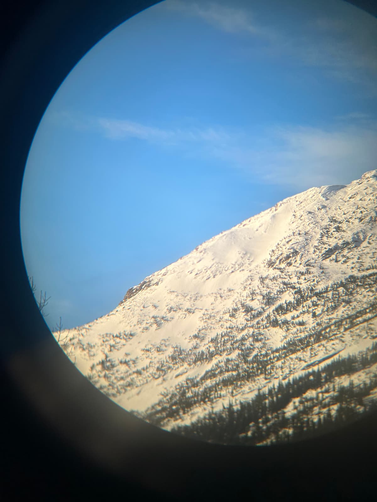Older slide on SE aspect at treeline