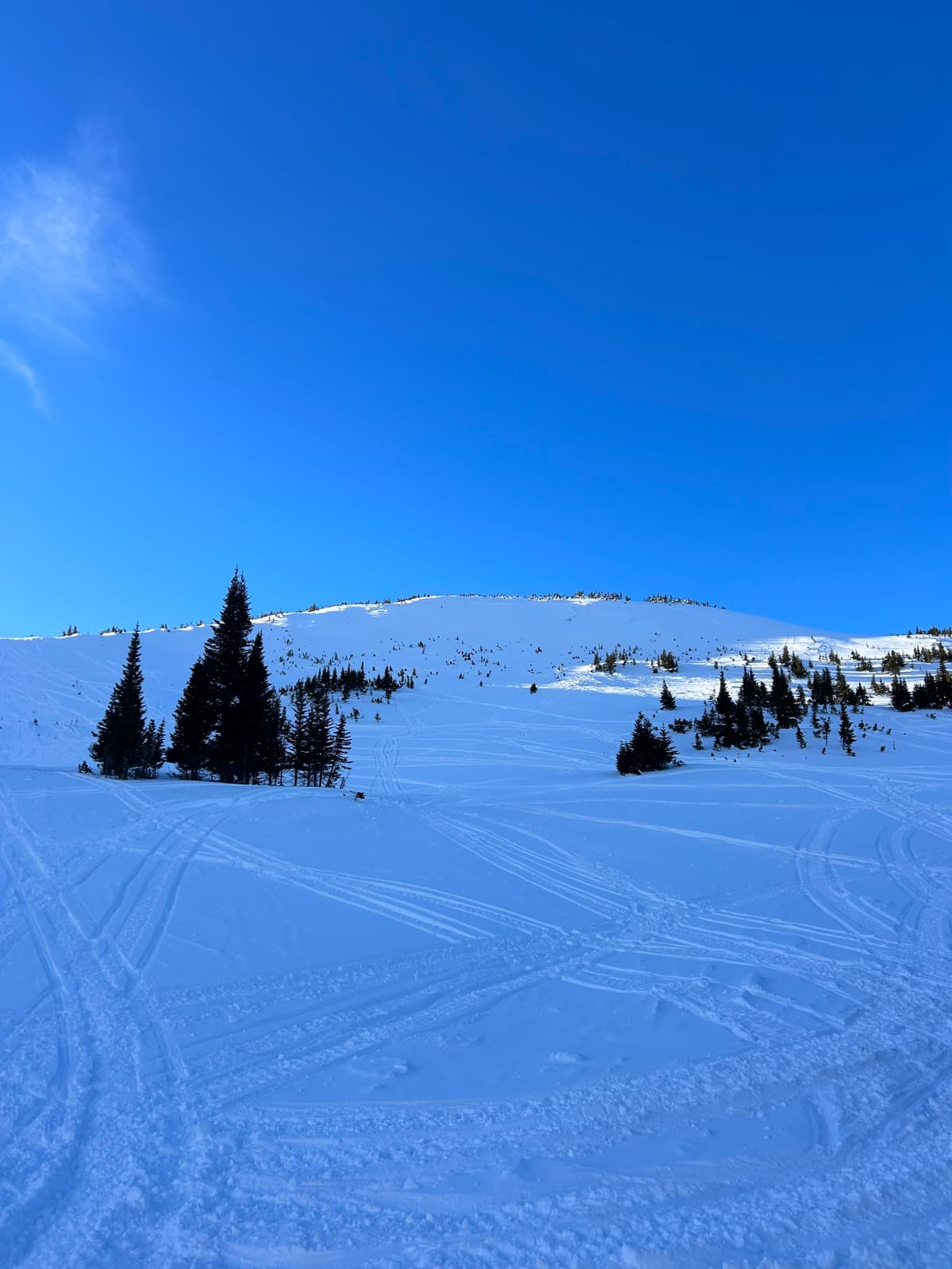 Older Slide NE aspect