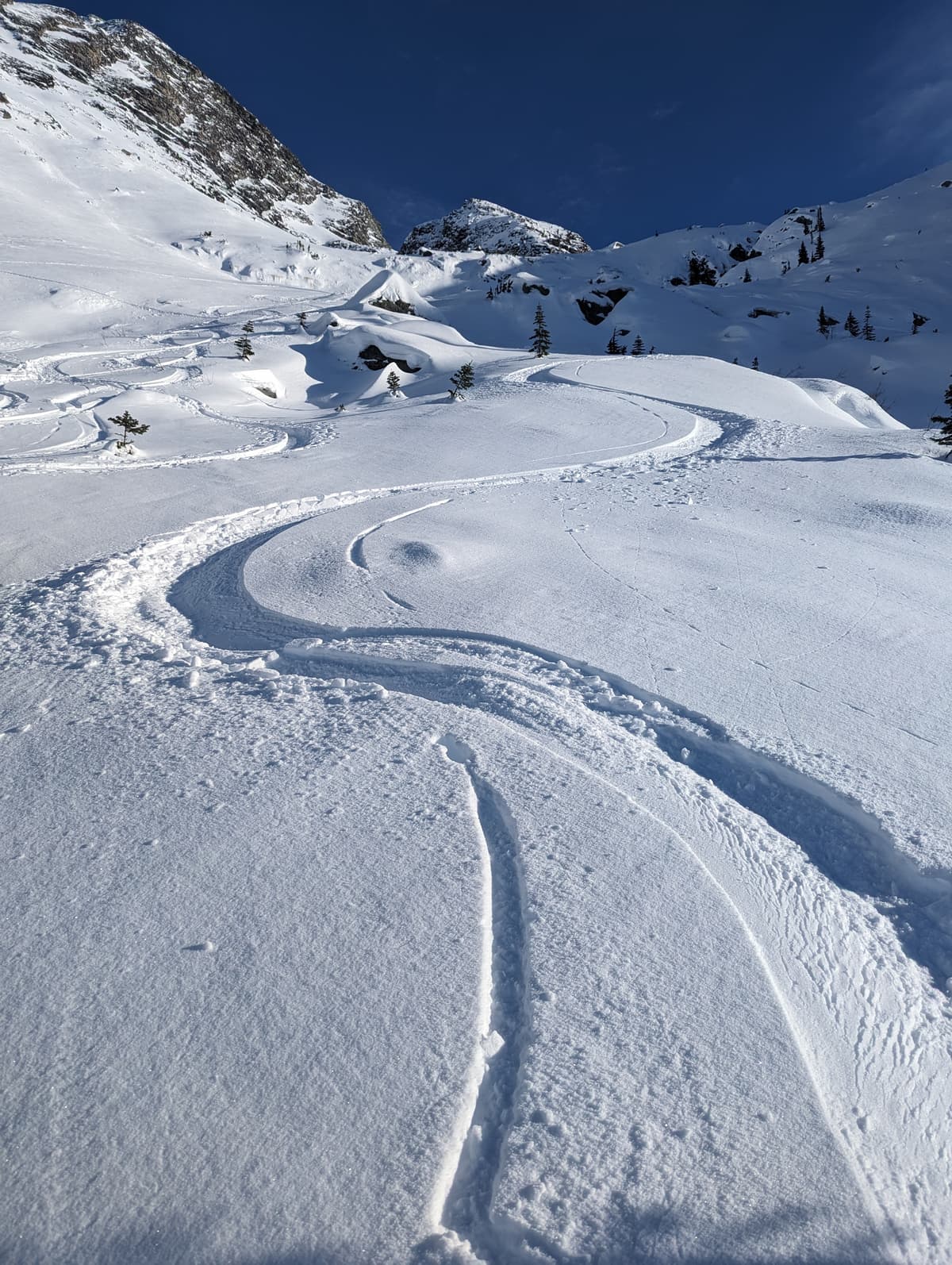 A rare bit of linked powder turns