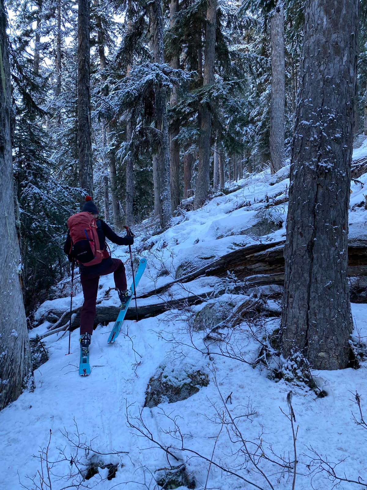 Best case TL conditions at 1550m