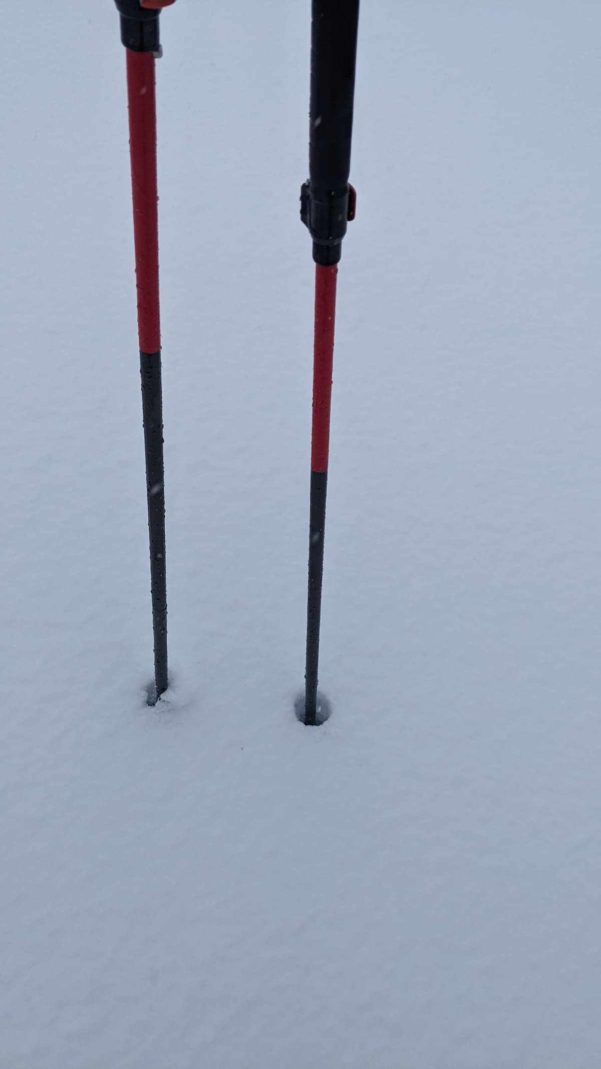 5-10cm pole pen, fully consolidated 