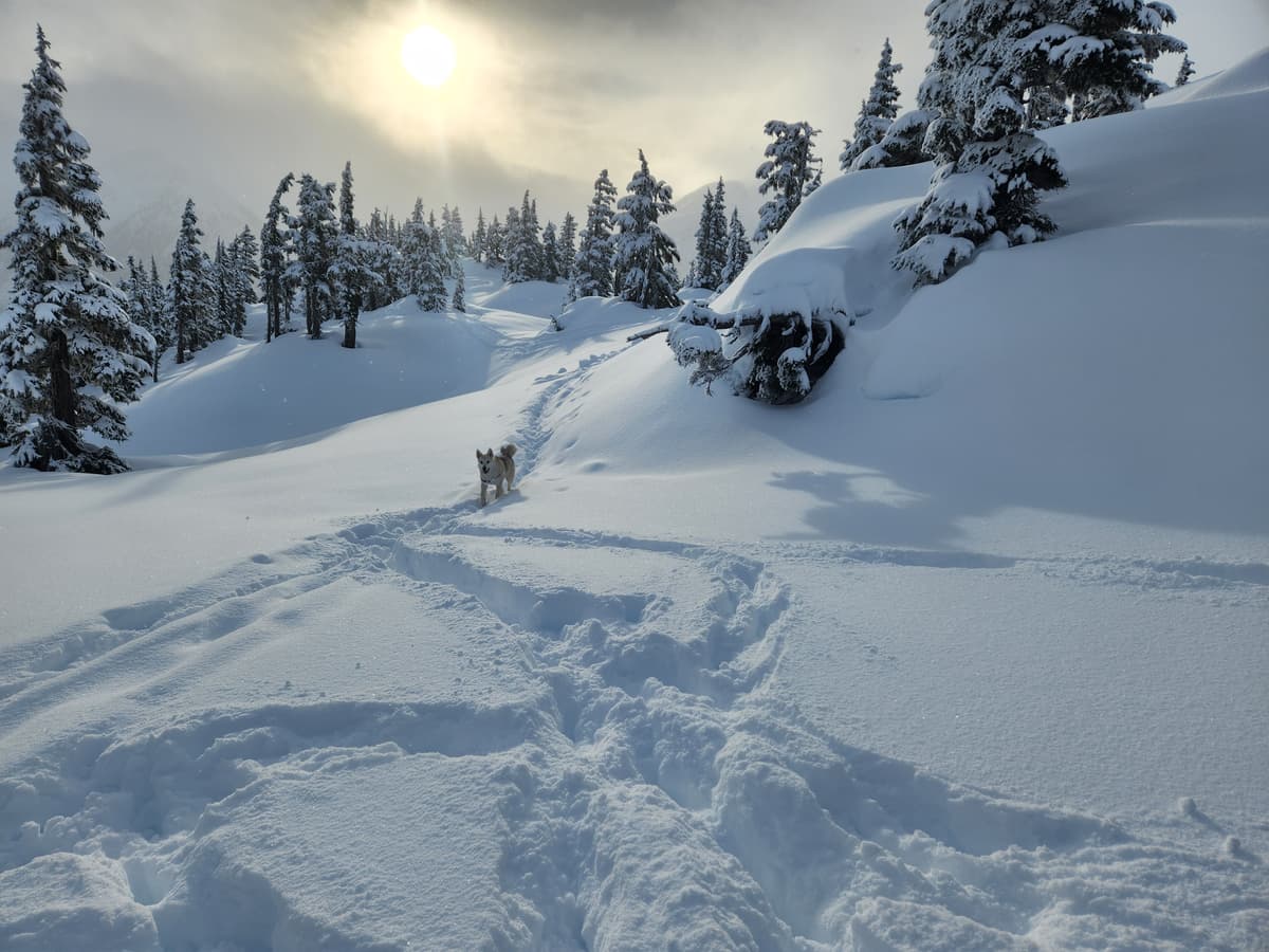 25cm or so of new snow at top of prayer flags area
