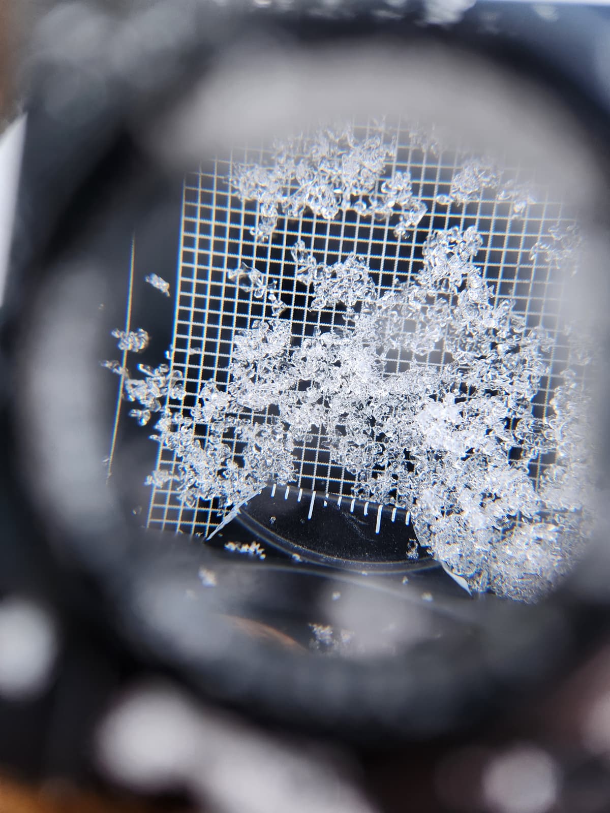 Snow immediately below the uppermost crust