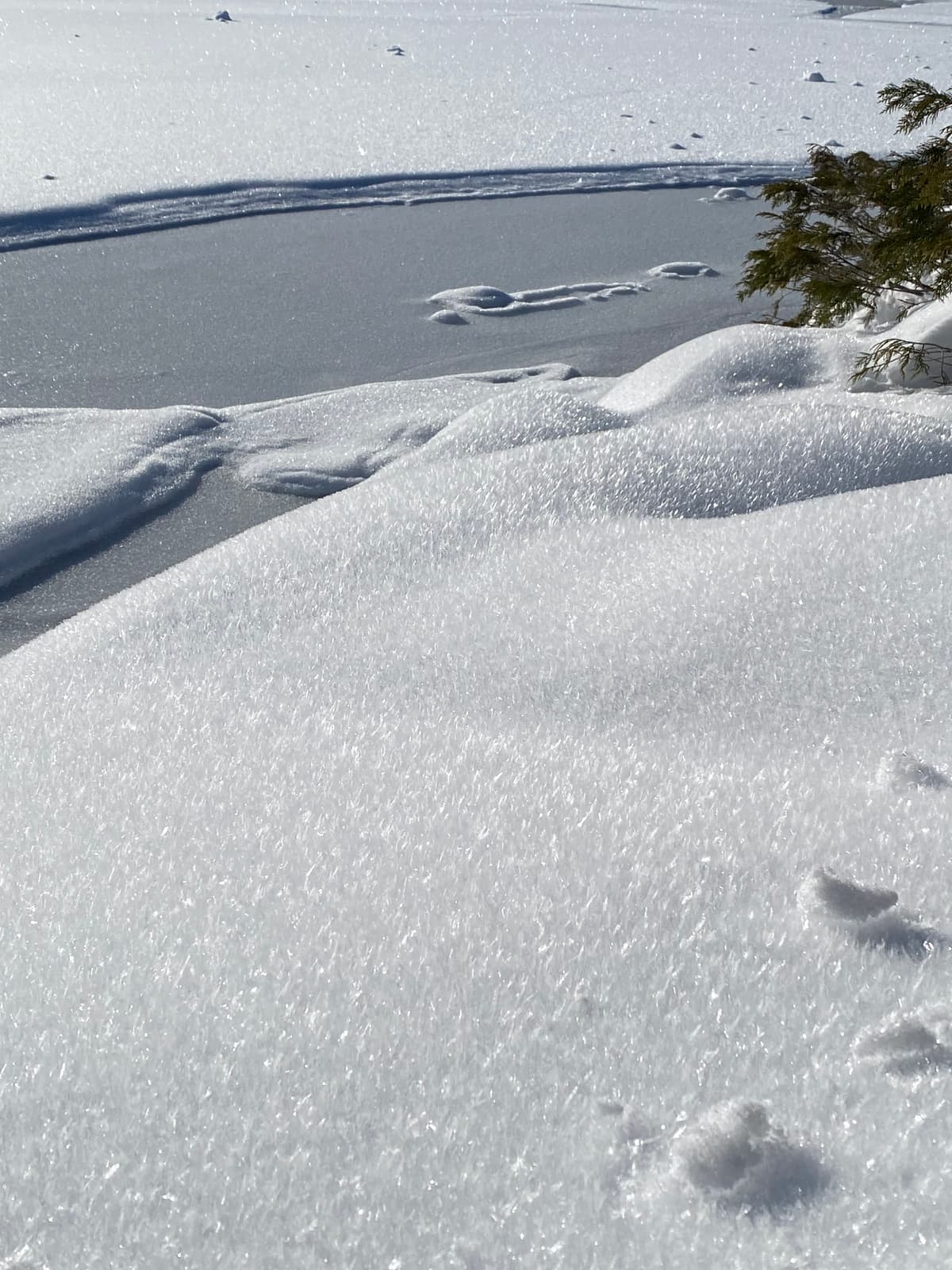Surface hoar and Lake Helen Mackenzie unfrozen 
