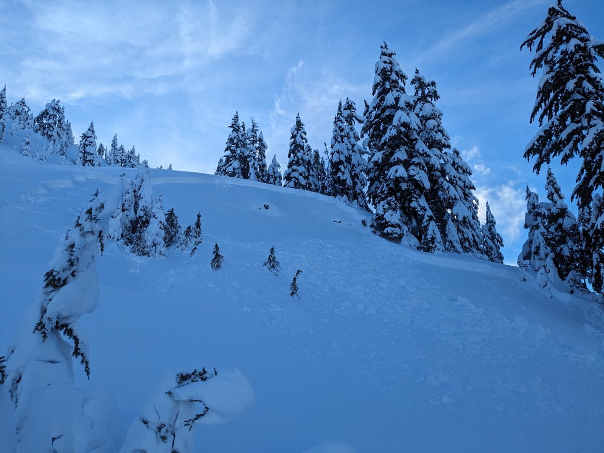 NW slope at 1400m below Mobius