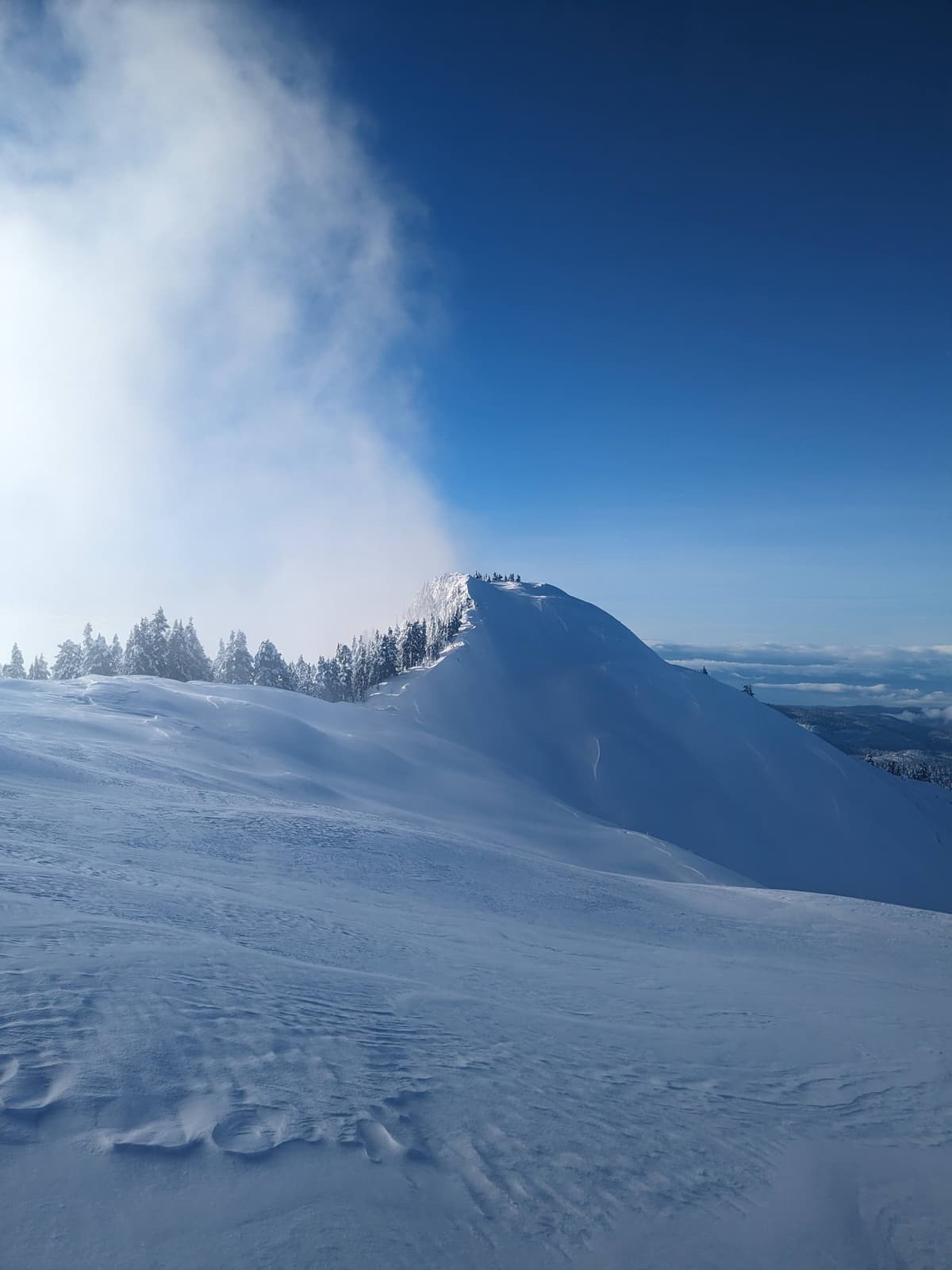 summit of steele