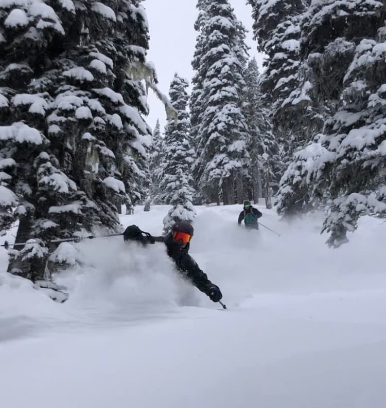 Pretty good skiing above 1500 m 