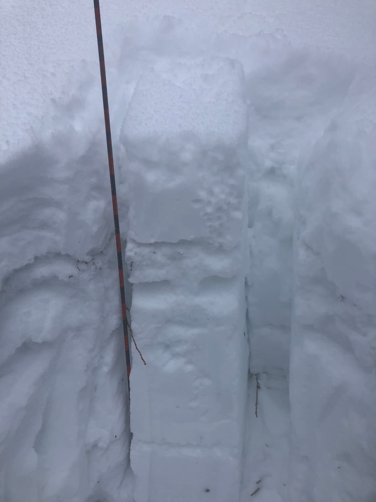 Snowpack at 1550 m. Snow depth was 150 cms. 
25 cms of powder on top of a 10 cm thick ice crust. Faceting beneath the ice crust. There is a second ice crust about 45 cms down, and one near the bottom. Lower snowpack was very solid with minimal faceting. No sign of buried surface hoar. 
Performed a 30 x 30 compression test. The storm snow failed as a cohesive slab after 15 taps (moderate). The ice crust also failed in the High range (25 taps). 