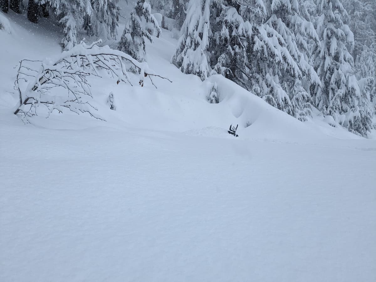 That's my snowmobile handlebar at 1400 meters