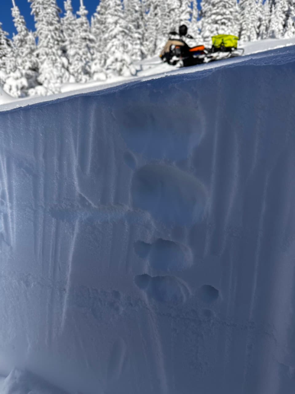Soft new snow sits over a layer of  small surface hoar crystals over a crust at treeline. We aren't seeing any avalanches on this layer yet, but will be keeping an eye on it for the next while. 