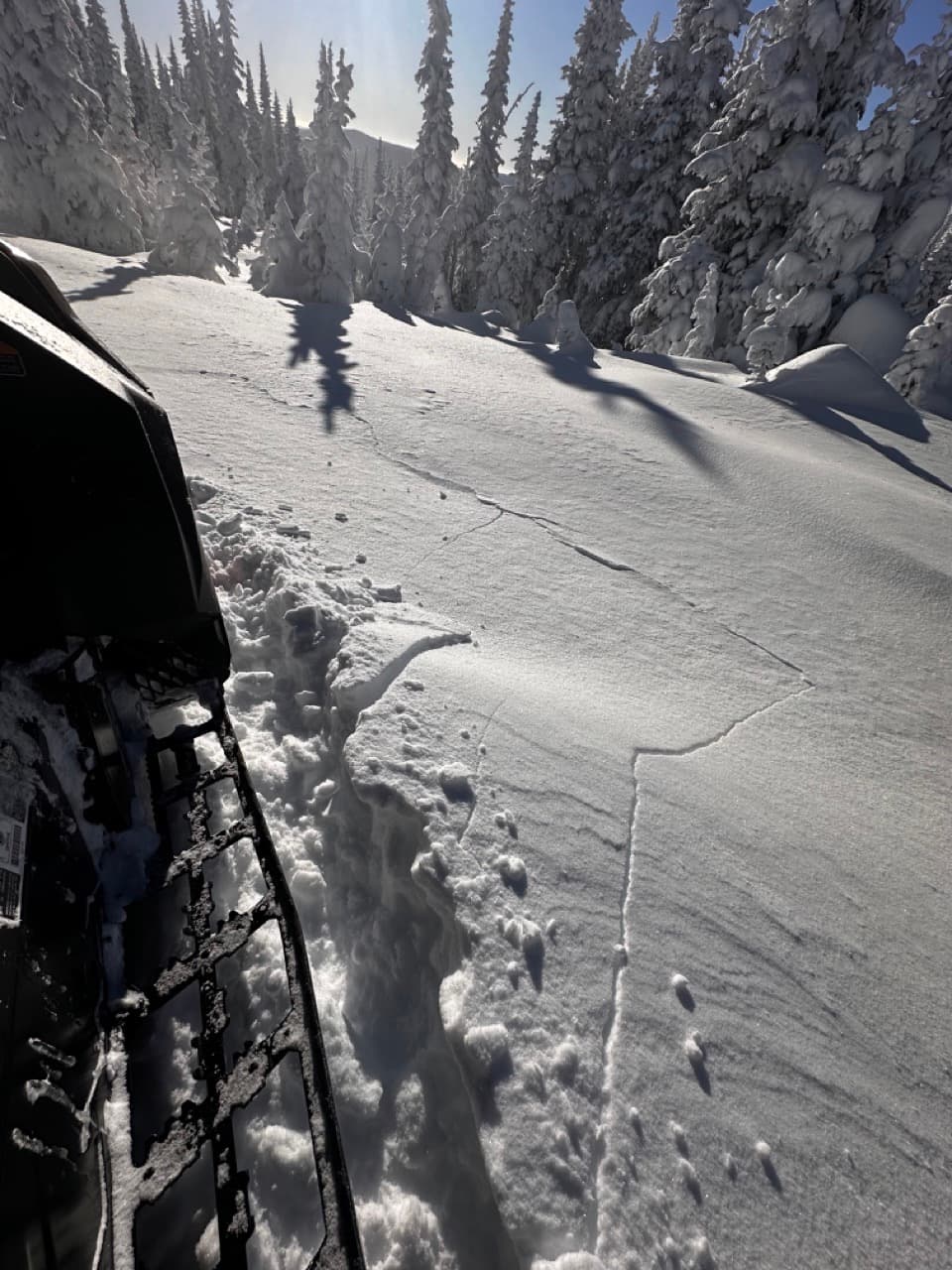 A shooting crack in the new soft windslabs found on southerly aspects. 