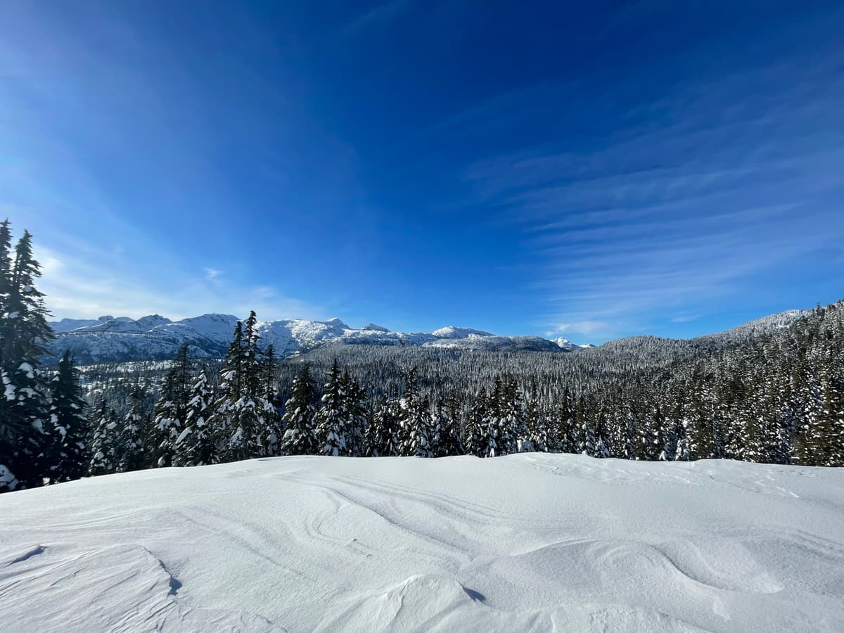 Wind affected NE facing slope.