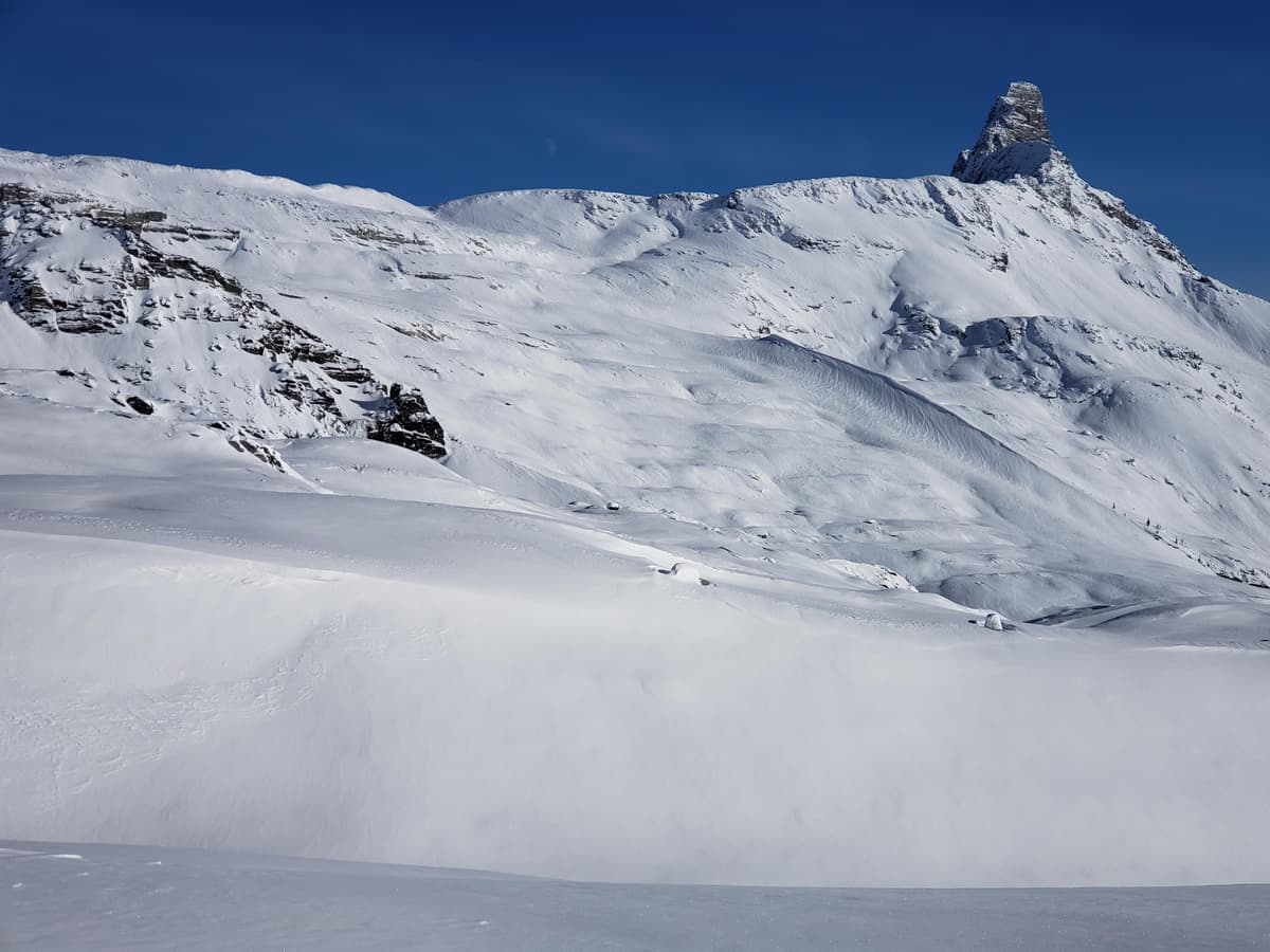 Wind effect in Alp.