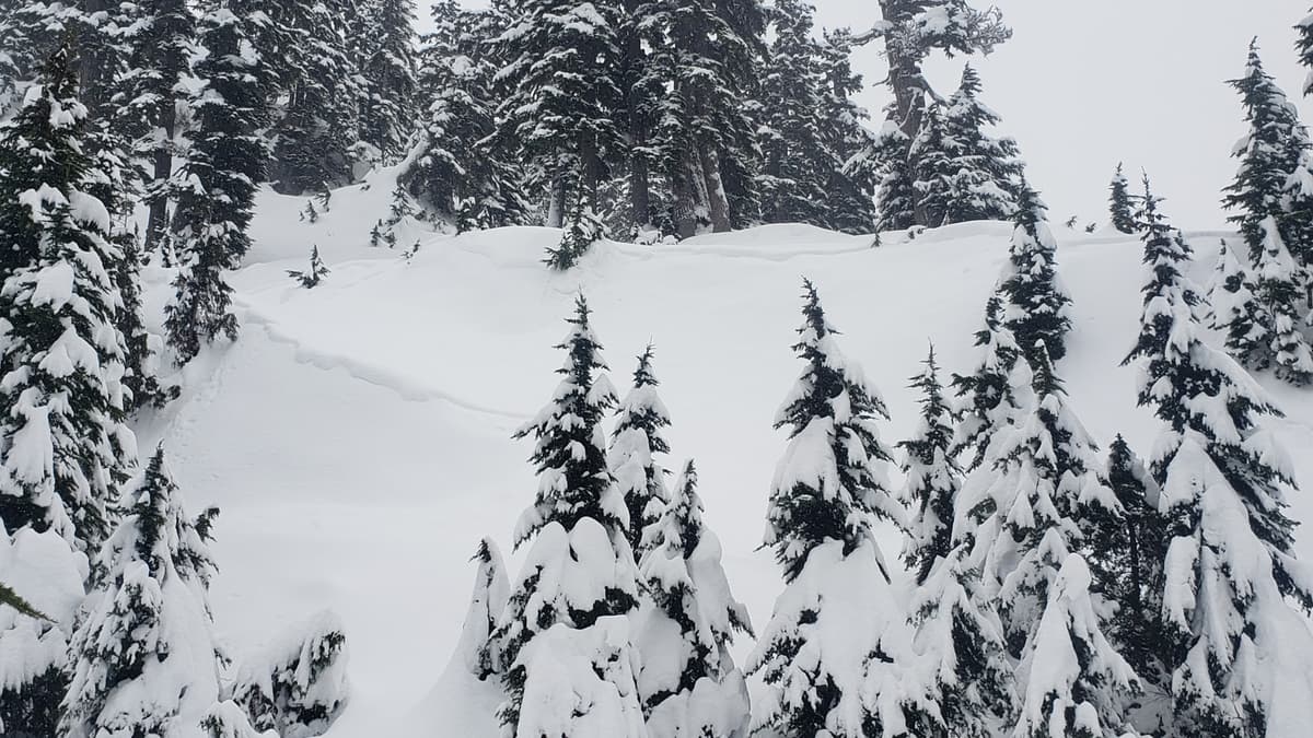 Absolutely everything over 30 degrees slid mid storm.  This actually allowed us to venture into steep terrain because there were no remaining touchy slabs.