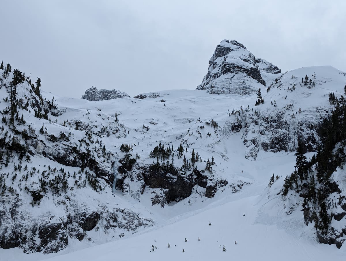 Avalanches everywhere
