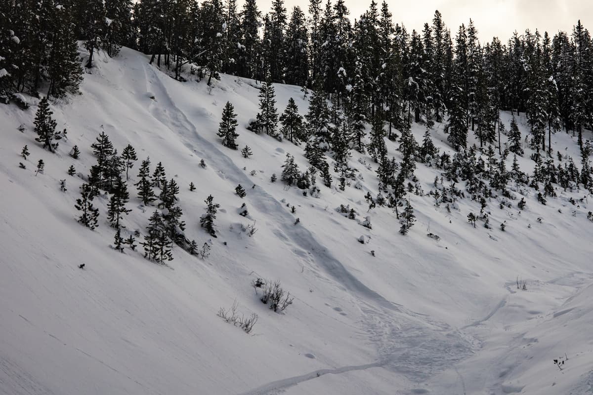 Avalanche in north path