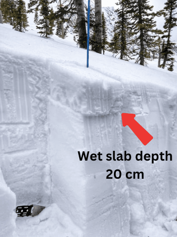 Wet snow down 20 to 30 cm was the culprit for recent avalanche activity, 
