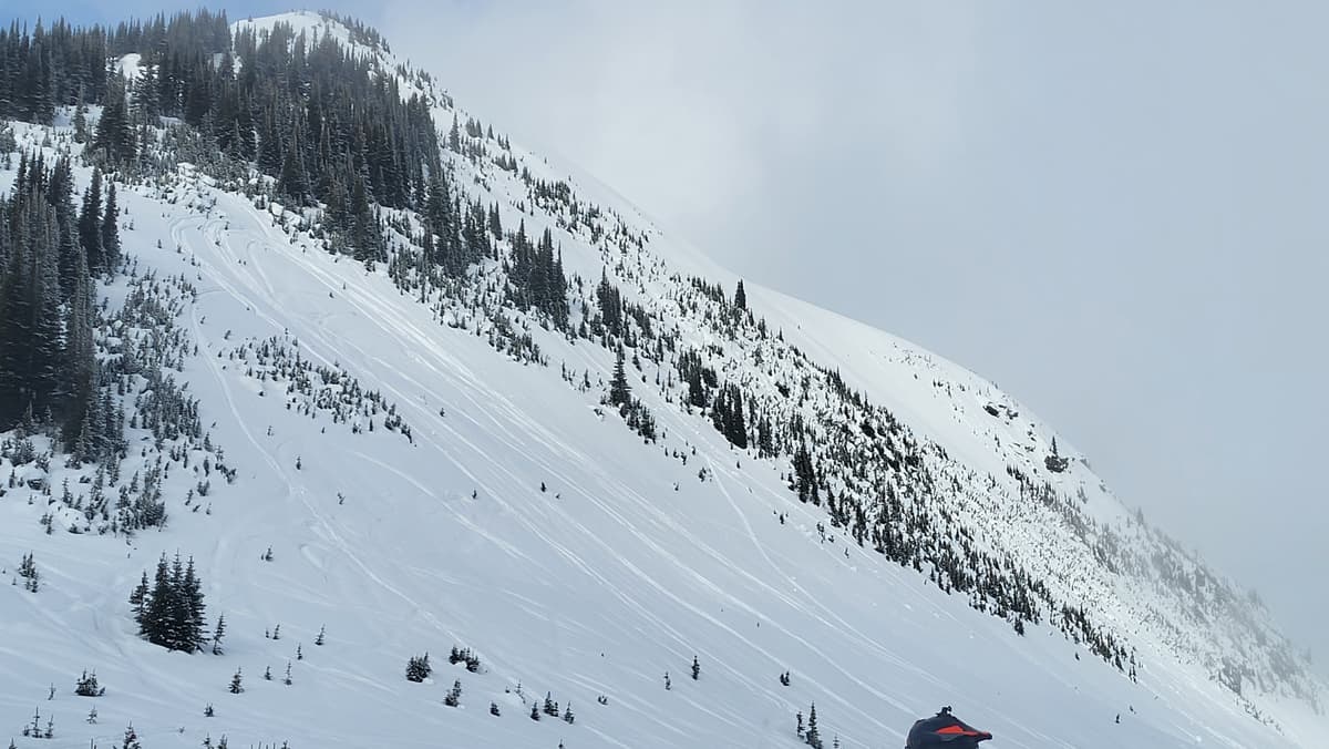 Bauer area. 