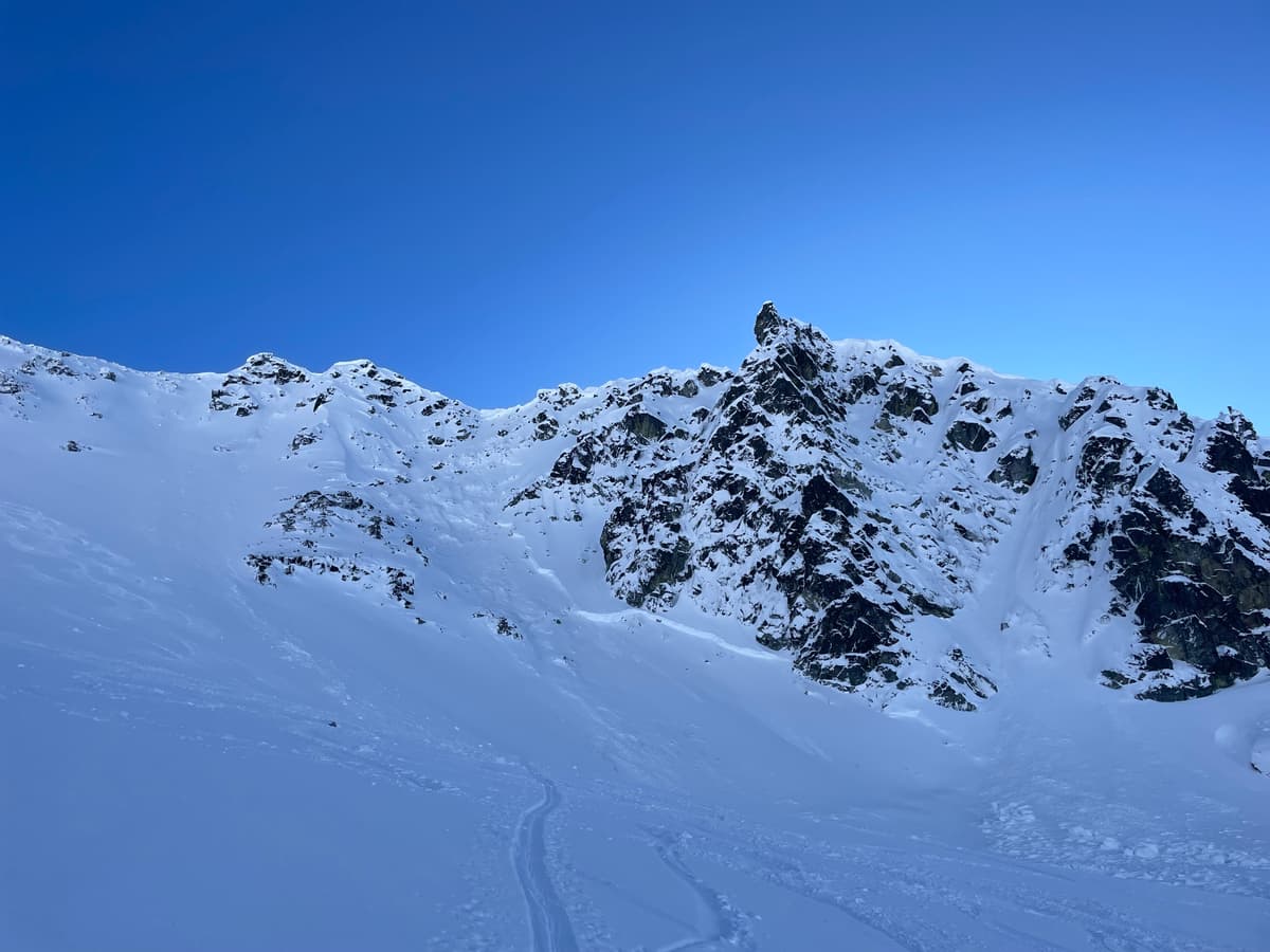 Large disease ridge crown