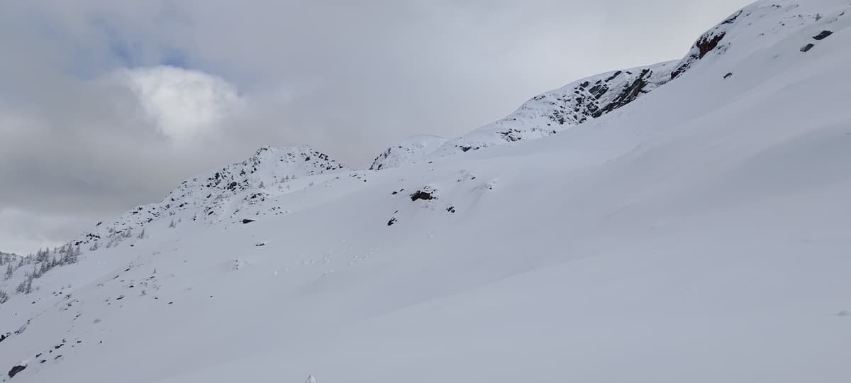 alpine coverage was better than expected, north aspects here got good wind loading, but no instabilities noticed