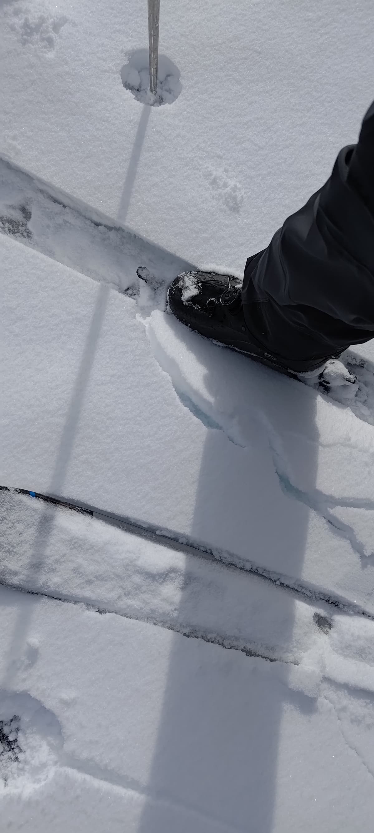 most of the alpine skiing was good, a few sunny spots got a punch crust but nothing terrible