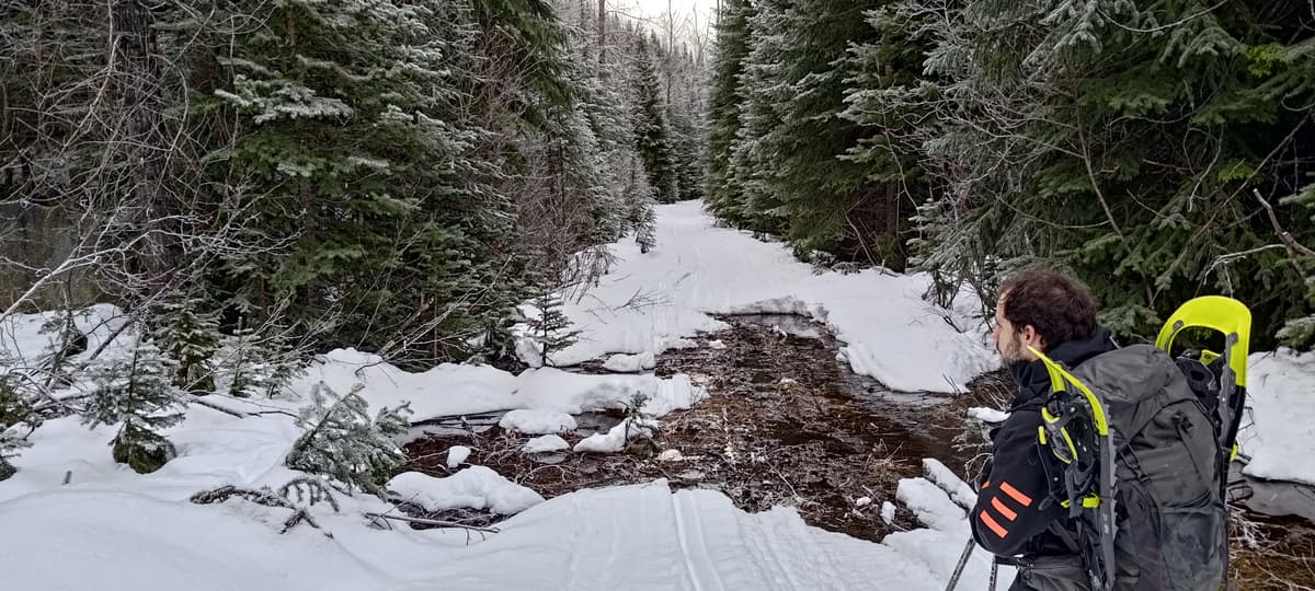 caspar creek fsr has some holes, but not too many