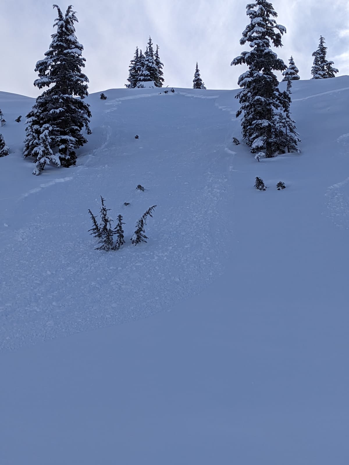 I skied this line to set it off (learning in safe terrain). It didnt pull out untill I was at the bottom so I got to watch it!