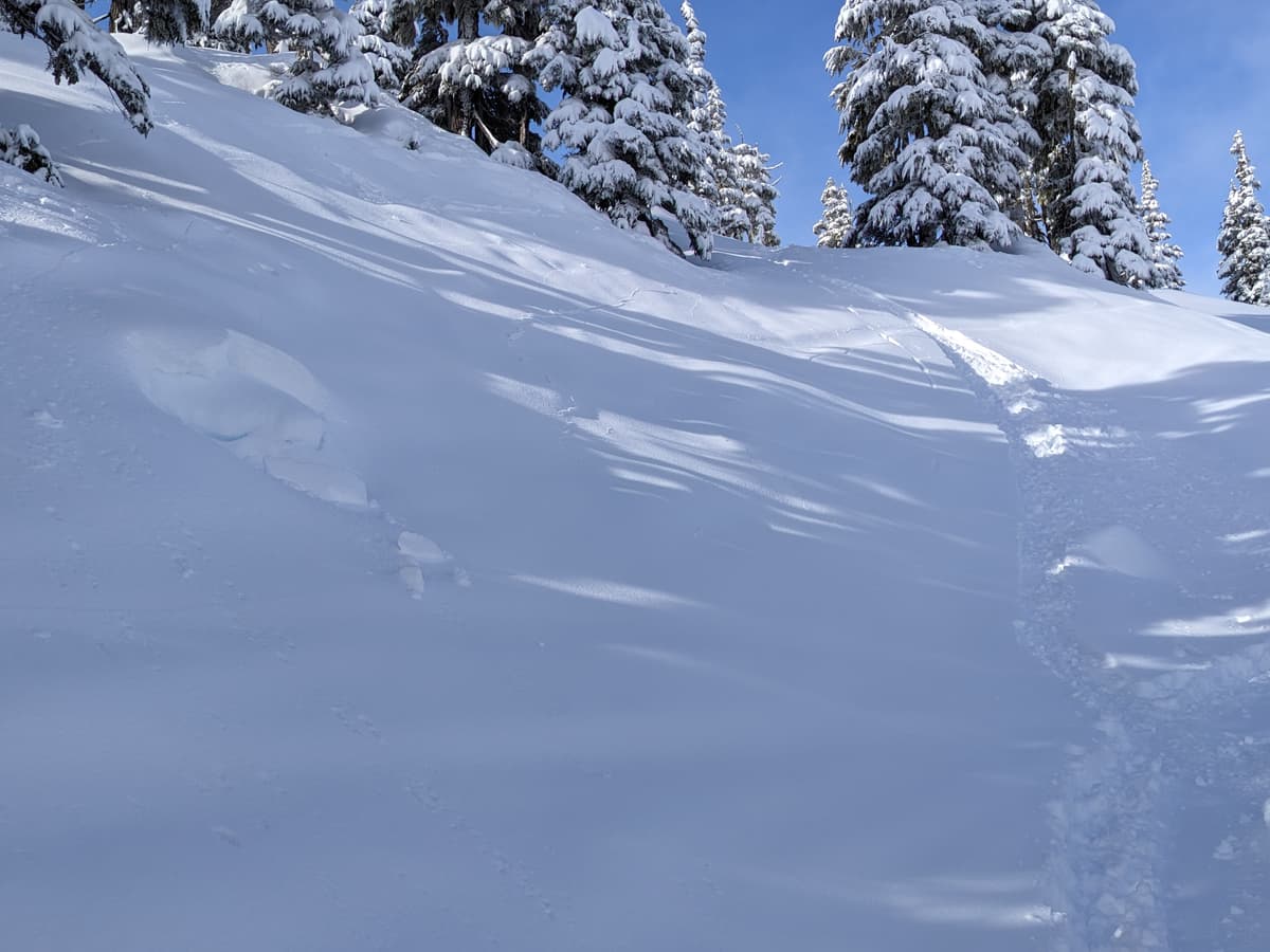 I think this slope triggered from a small tree sluff on the upper left of the pic and not the skier.