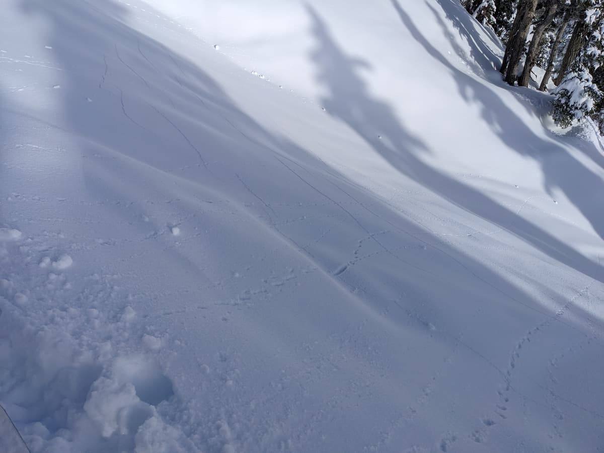 Cracks below the skin track. These propagated 30+ ft to the right as well.