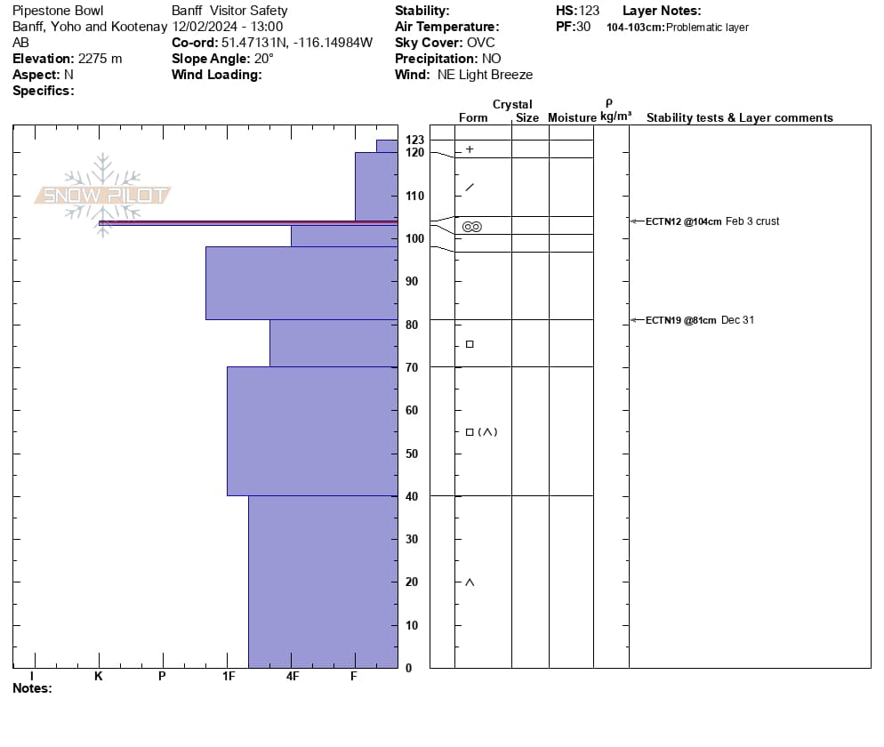 Pipestone Bowl snow profile