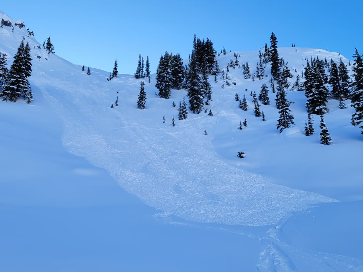 1250m size 0.5 triggered by ski cut on convex roll at top of 35 deg. NE slope caused sympathetic size 1.5 . 20-30cm Crown propagated into steeper open trees along ridge crest.