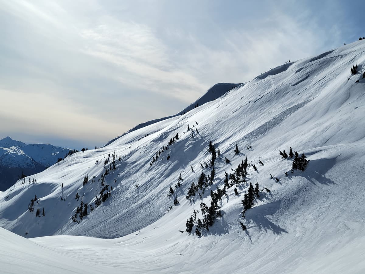 Natural storm slab East aspect, 1400m start zone.