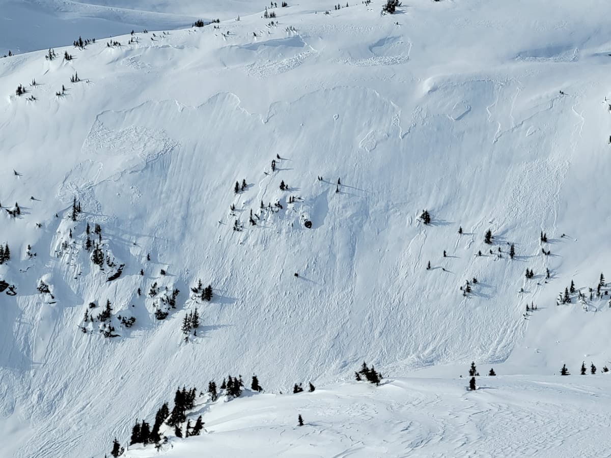 Natural storm slabs East aspect, 1400m start zone. Likely ran Feb 10/11.