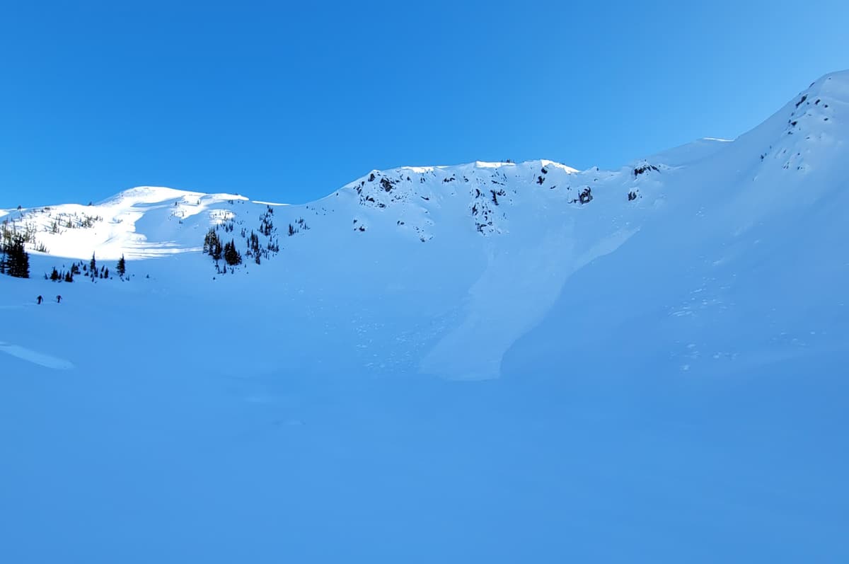 Natural out of steep N aspect at 1400m.