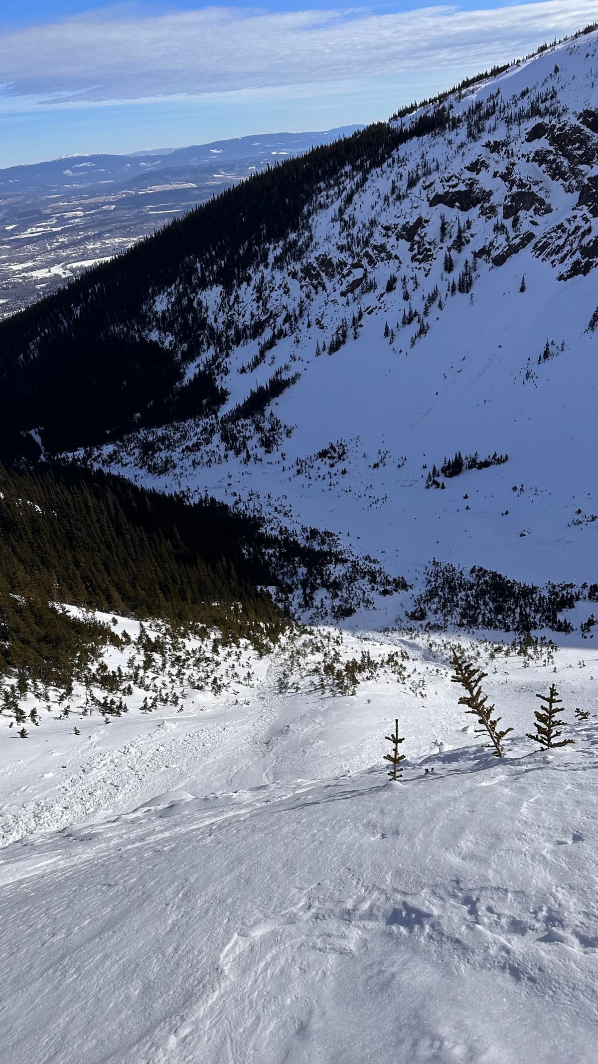 The slide funneled through short trees and continued a long way to valley bottom
